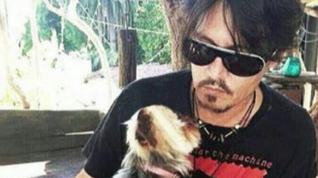 Johnny Depp's wife may face jail time over dog smuggling 