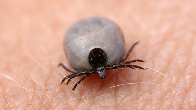 Lyme risk grows, glasses ‘see’ cancer, unusual ALS risk