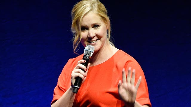 Is Amy Schumer ready for superstar status?