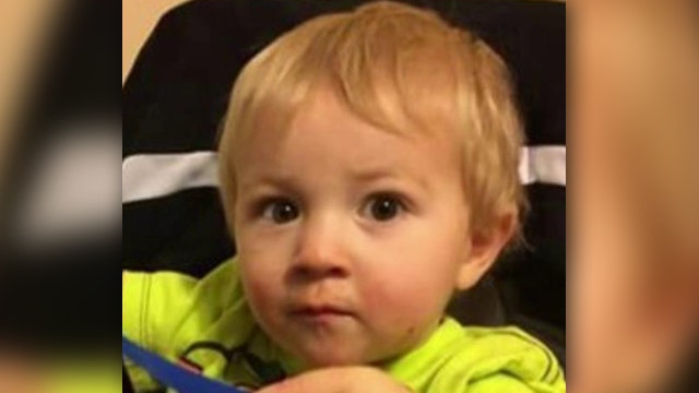 Lost or abducted? Frantic search for missing toddler