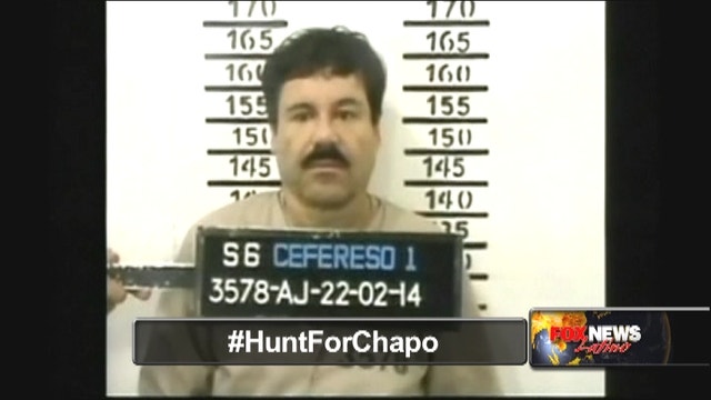 Theory: Imprisoned Chapo was actor