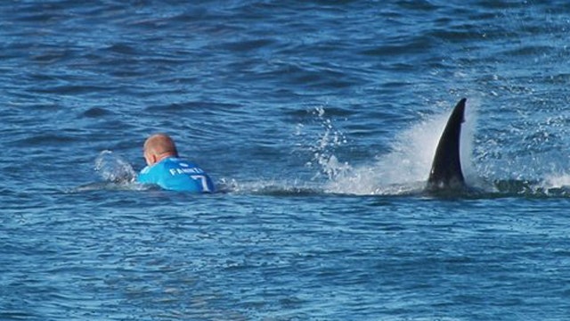 Surfer attacked by shark on live television