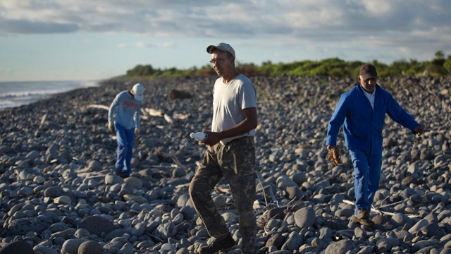 Search continues on Reunion Island for more plane debris