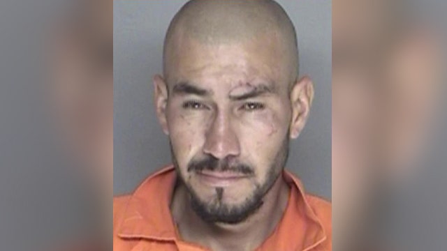 Illegal immigrant in custody for killing woman with hammer