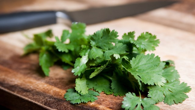 Cancer-fighting pill, cilantro warning, spice of life