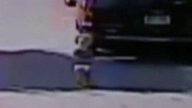 Hero bus driver saves toddler wondering on busy street