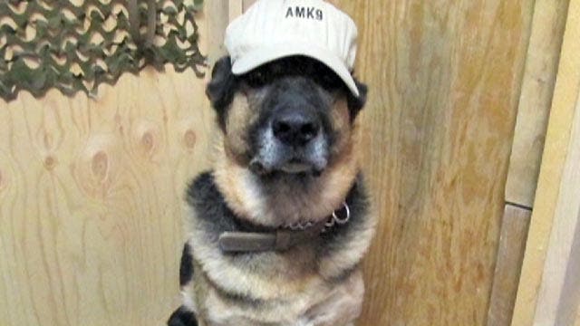 Former US Army contractor fulfills promise to service dog