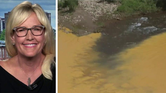 Erin Brockovich takes EPA to task over river spill