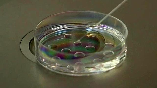 San Francisco frozen embryo case sparks national debate