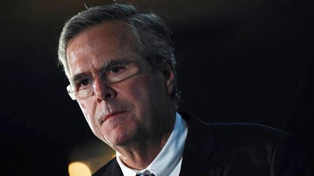 Jeb Bush donor insists he's not panicking over Trump lead