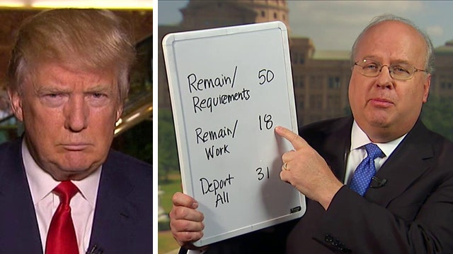 Karl Rove breaks down Donald Trump's immigration reform plan