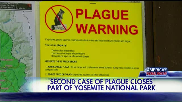 082115_plague