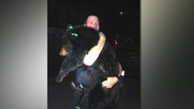 Police officer gives baby cub the ultimate 'bear hug'