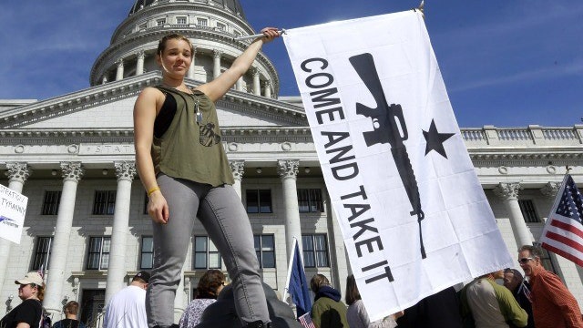 Gun control debate gets heated on 'The Five'