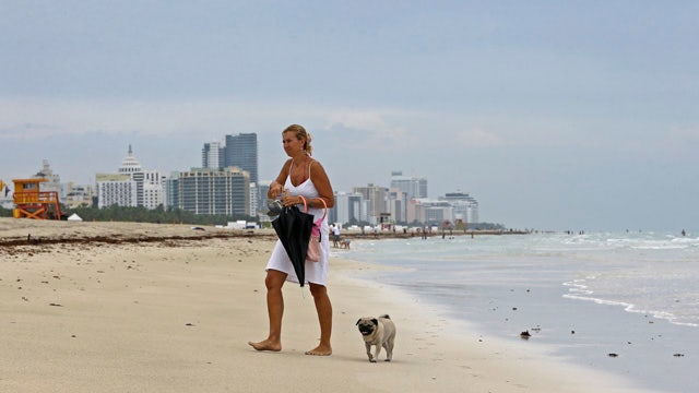 Florida preps for what could be first hurricane in 10 years