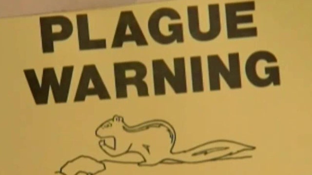 Utah man dies from bubonic plague