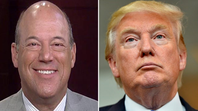 Ari Fleischer discusses Trump's controversial campaign ad