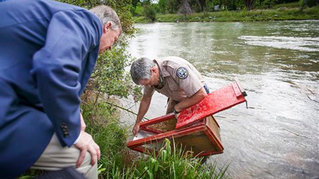 Colorado: Animas River water, some fish safe for consumption