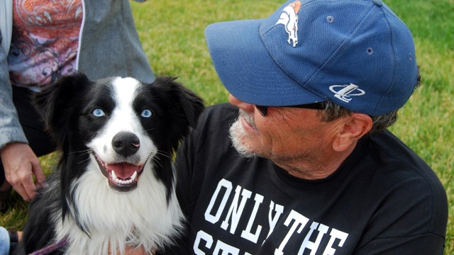 Dog reunited with owners after 42 days lost in Yellowstone