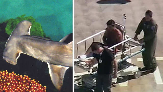 Calif. kayaker gets foot bitten by hammerhead shark