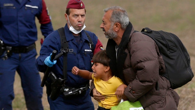 Political Insiders Part 2: Europe's migrant crisis