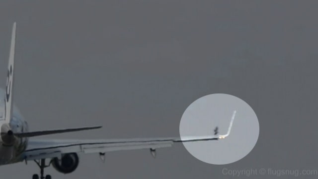 Bird strike caught on camera