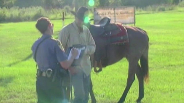 Drunk cowboy ticketed for riding horse while intoxicated