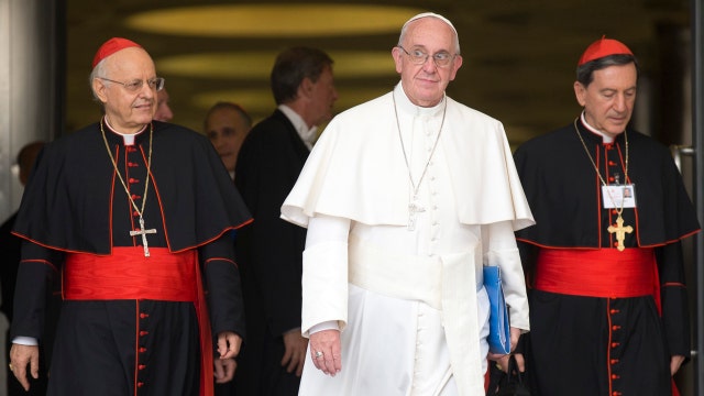 Is Vatican Synod showing division within Catholic Church?