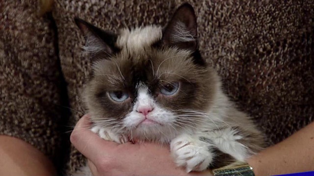 Grumpy Cat teaches how to be a 'No-It-All' in new book