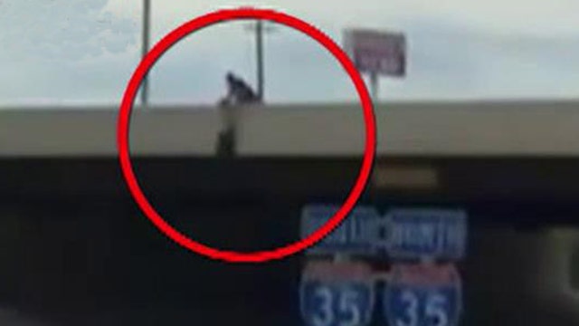 Incredible video: Officer risks life to save bridge jumper