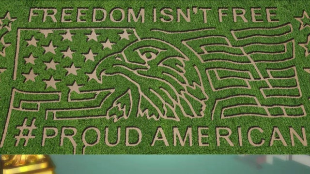 Impressive 'Proud American' maze pays tribute to military