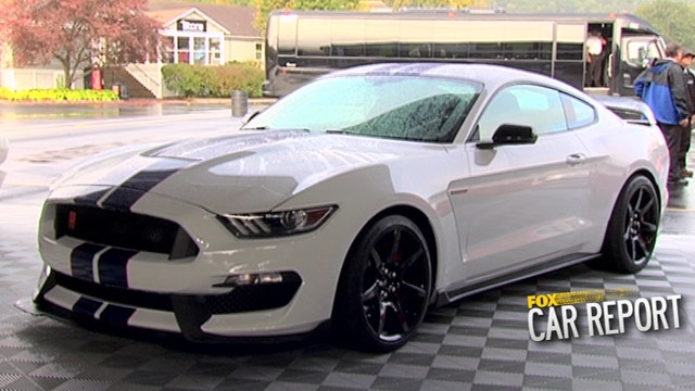 Return of the Shelby GT350