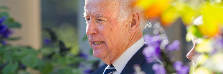 What does Biden’s announcement mean for Democrats?