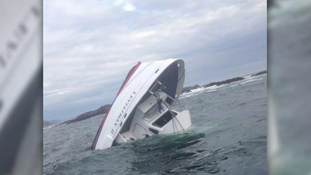 Five dead after whale watching boat sinks off Canadian coast