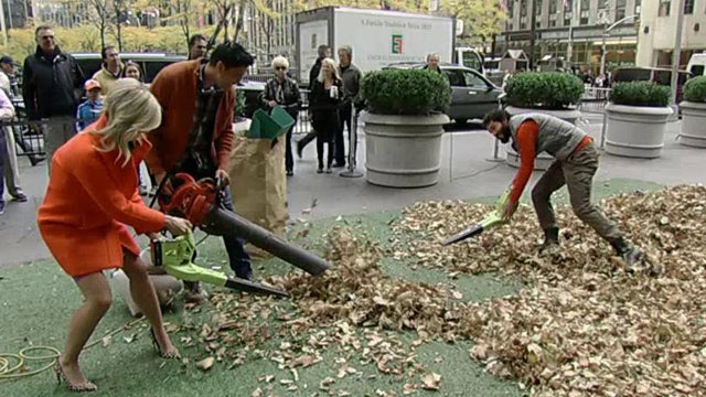 How to keep your lawn free of leaves this fall 