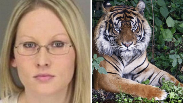 Woman hospitalized after breaking into zoo to pet tiger