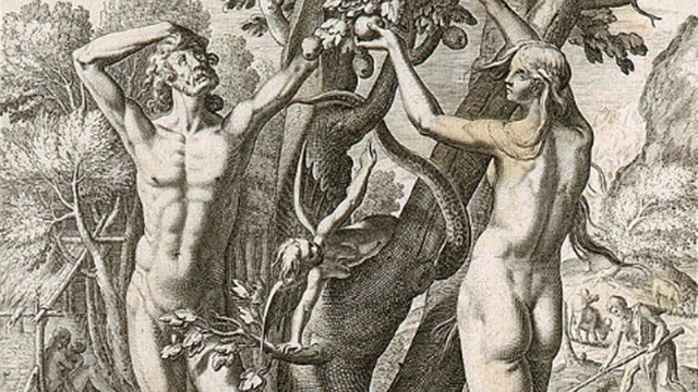 Can science prove Adam and Eve were real? 