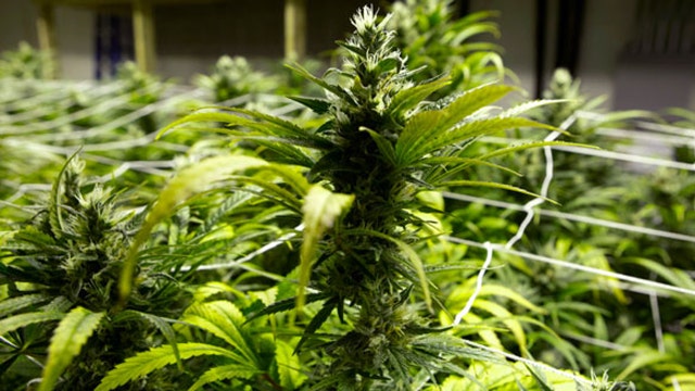 Ohio voters reject marijuana legalization
