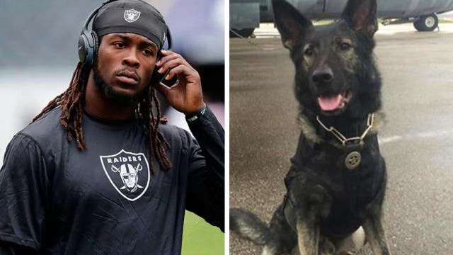 NFL player investigated for taunting police dog