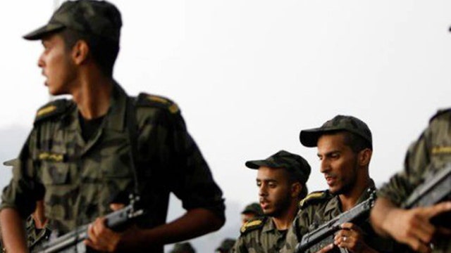 Expert: Military force alone won't win war on terror