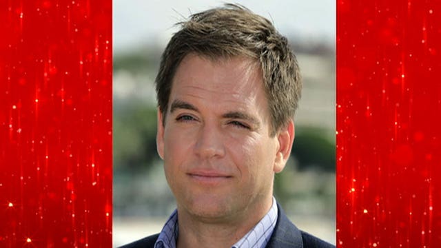 'NCIS' star Michael Weatherly charged with DWI