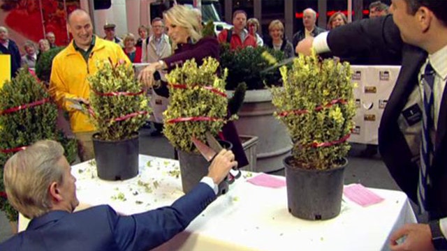 Commemorating 'Edward Scissorhands' by sculpting shrubs