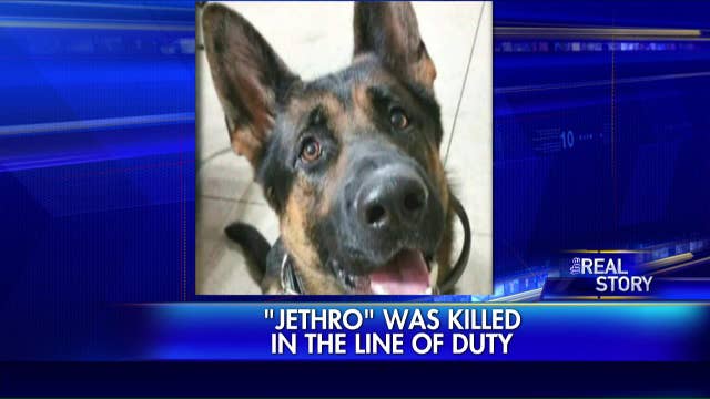 Hundreds show up to police dog funeral