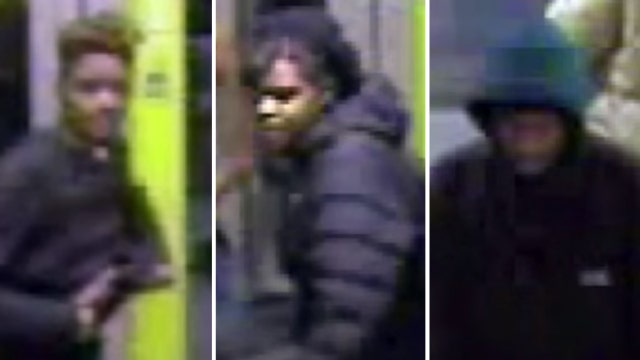 Persons of interest in brutal attack on vet sought by police