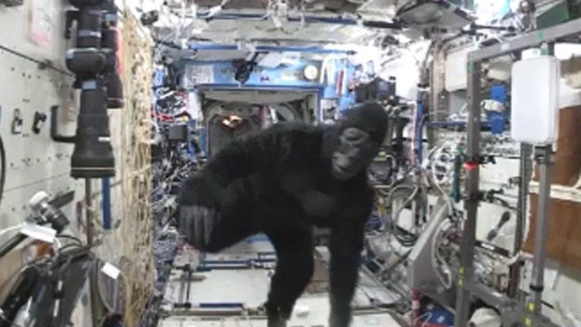 Astronauts monkey around on International Space Station