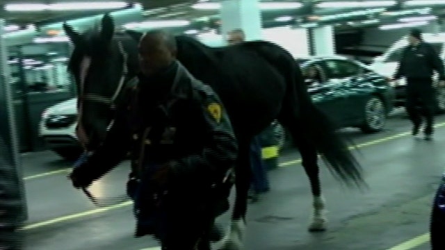 NYPD police horse safe after running through Times Square