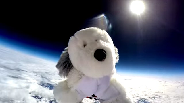Watch stuffed dog's breathtaking ride to the stratosphere