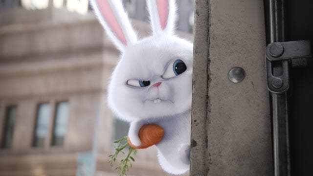 Hollywood Nation: 'Pets' bump 'Dory'