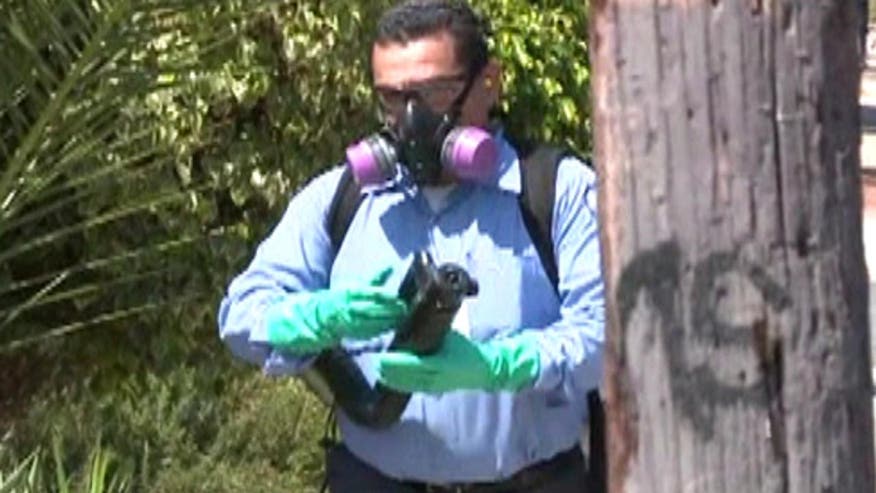 Protesters Delay Chemical Spray To Combat Zika In Miami Beach Amid 