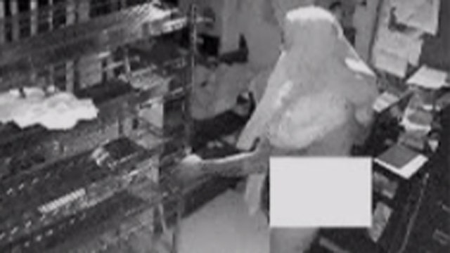 Thief robs pizza place in the nude